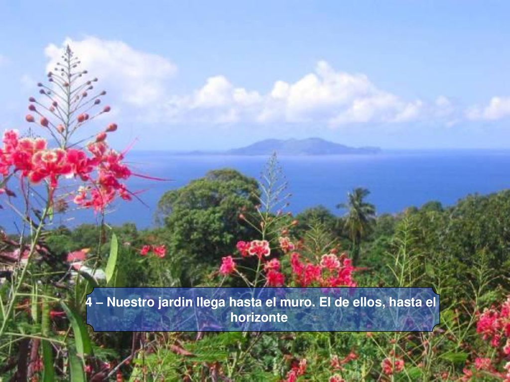 4 – Nuestro jardin llega hasta el muro. El de ellos, hasta el horizonte