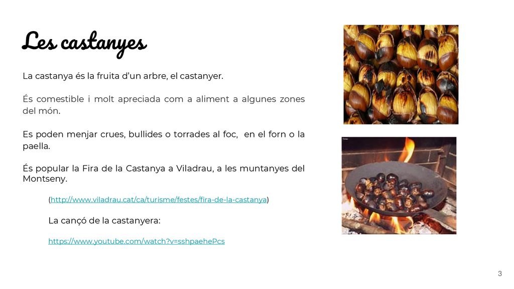 Les castanyes La castanya és la fruita d’un arbre, el castanyer.