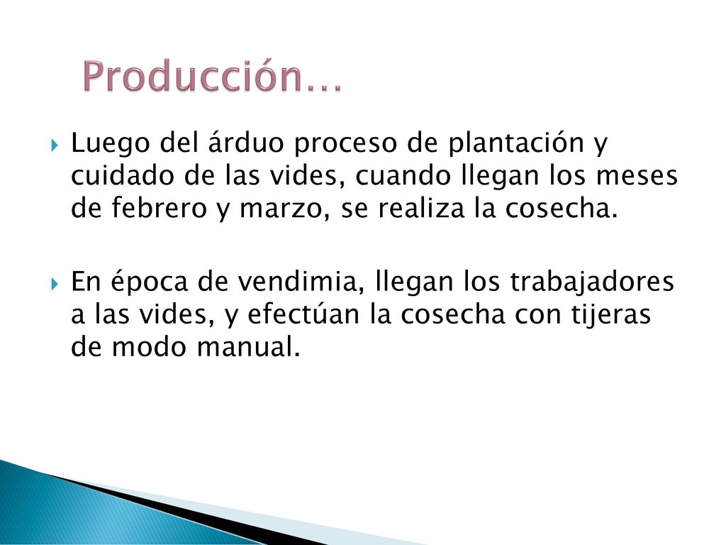 Producción… Luego del árduo proceso de plantación y cuidado de las vides, cuando llegan los meses de febrero y marzo, se realiza la cosecha.