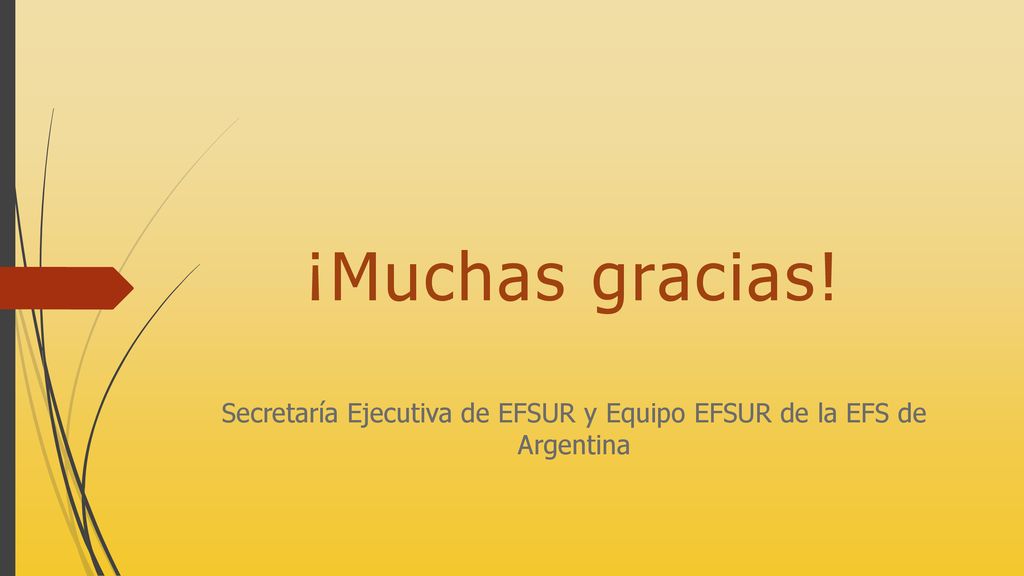 Secretaría Ejecutiva de EFSUR y Equipo EFSUR de la EFS de Argentina