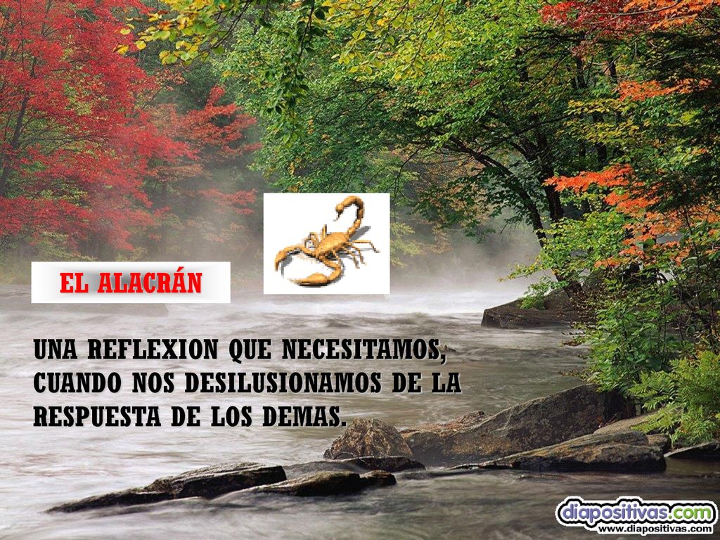 EL ALACRÁN UNA REFLEXION QUE NECESITAMOS, CUANDO NOS DESILUSIONAMOS DE LA RESPUESTA DE LOS DEMAS.