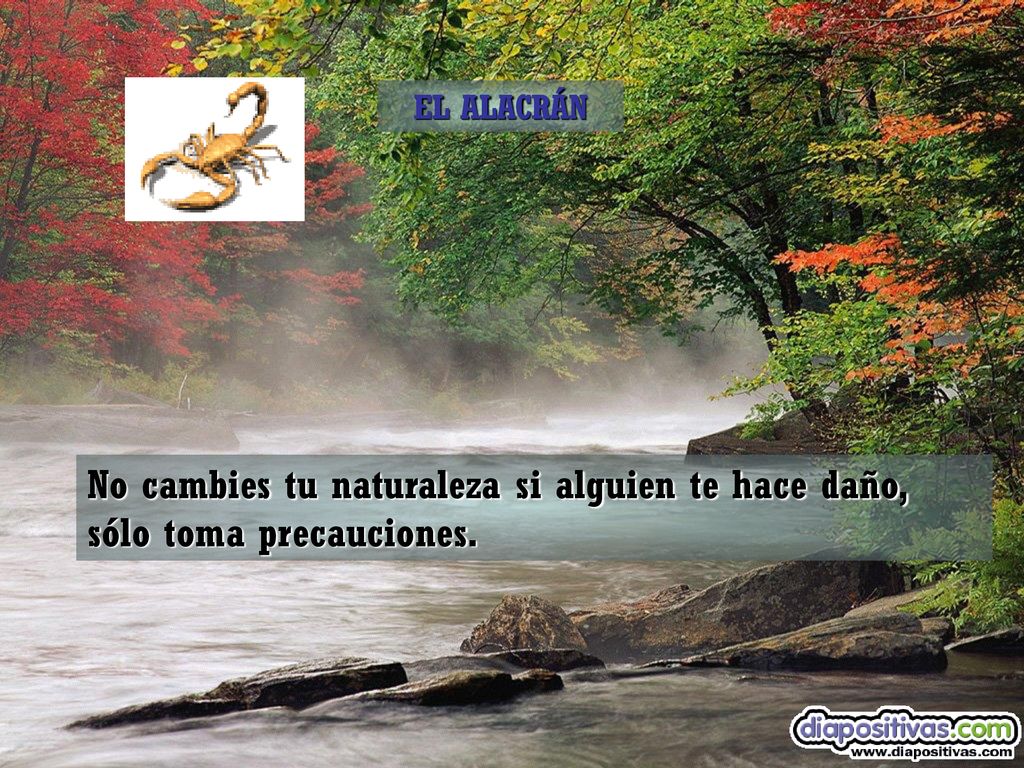 EL ALACRÁN No cambies tu naturaleza si alguien te hace daño, sólo toma precauciones.