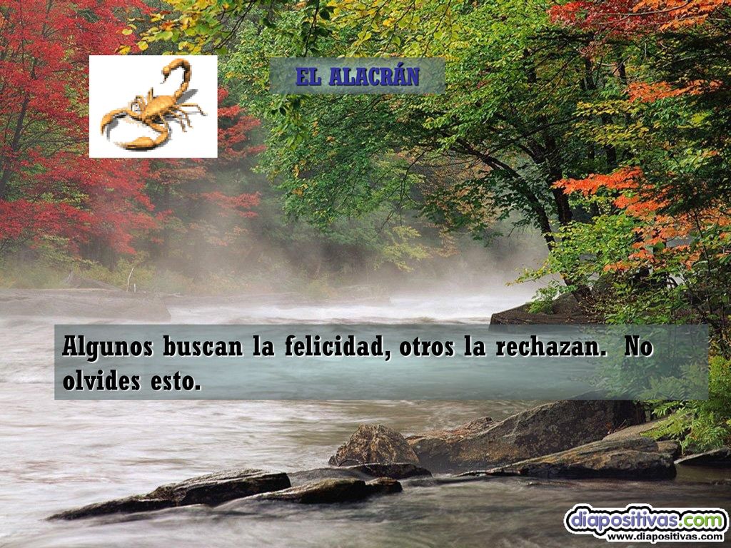 Algunos buscan la felicidad, otros la rechazan. No olvides esto.