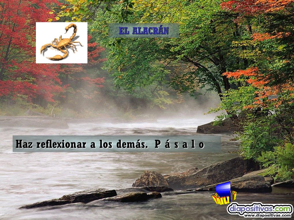 Haz reflexionar a los demás. P á s a l o