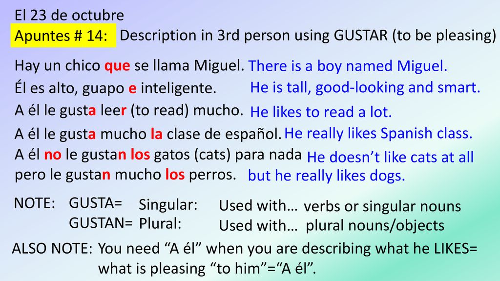 El 23 de octubre Description in 3rd person using GUSTAR (to be pleasing) Apuntes # 14: Hay un chico que se llama Miguel.