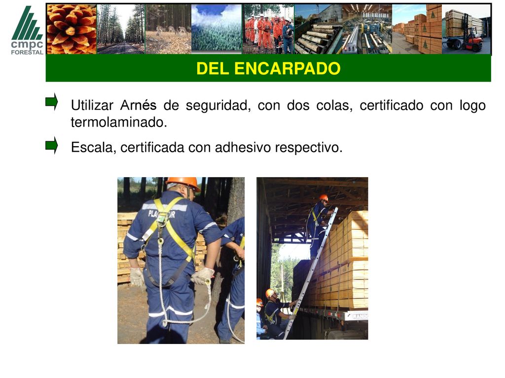 DEL ENCARPADO Utilizar Arnés de seguridad, con dos colas, certificado con logo termolaminado.