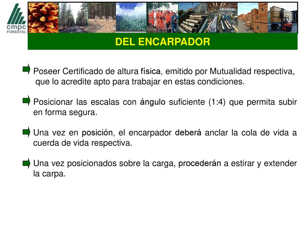 DEL ENCARPADOR Poseer Certificado de altura física, emitido por Mutualidad respectiva, que lo acredite apto para trabajar en estas condiciones.