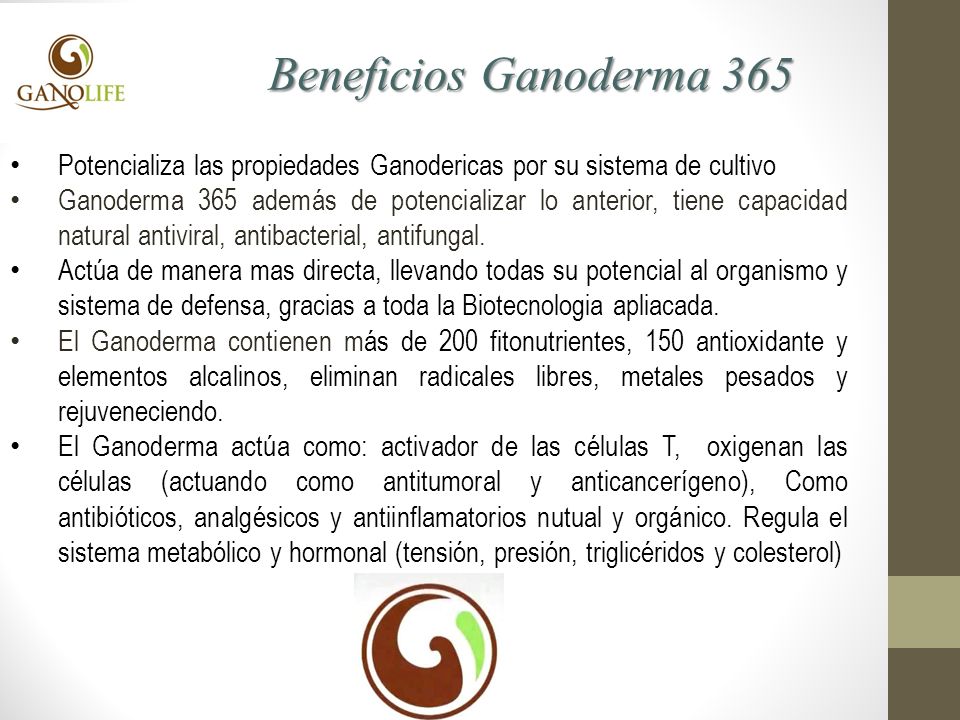 Beneficios Ganoderma 365 Potencializa las propiedades Ganodericas por su sistema de cultivo.