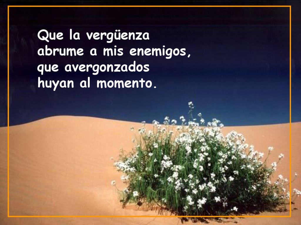 Que la vergüenza abrume a mis enemigos, que avergonzados huyan al momento.