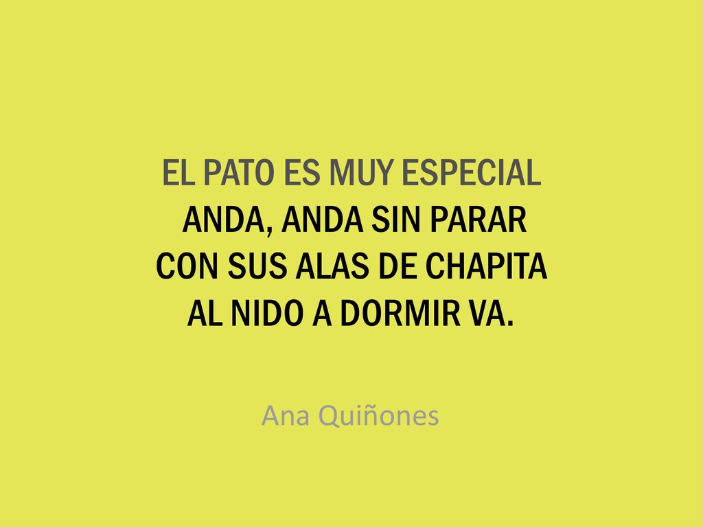EL PATO ES MUY ESPECIAL ANDA, ANDA SIN PARAR CON SUS ALAS DE CHAPITA AL NIDO A DORMIR VA.