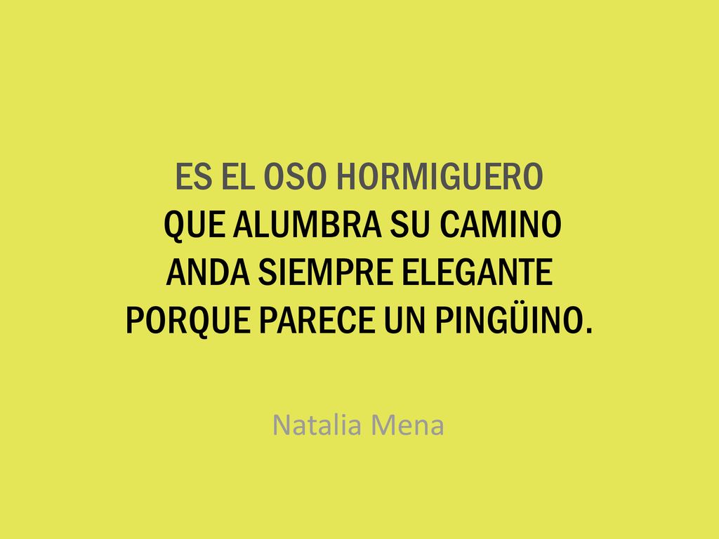 ES EL OSO HORMIGUERO QUE ALUMBRA SU CAMINO ANDA SIEMPRE ELEGANTE PORQUE PARECE UN PINGÜINO.