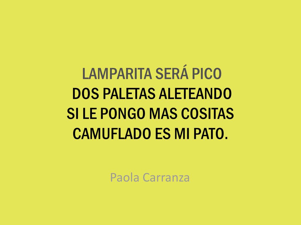 LAMPARITA SERÁ PICO DOS PALETAS ALETEANDO SI LE PONGO MAS COSITAS CAMUFLADO ES MI PATO.