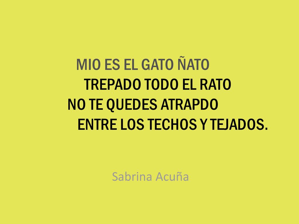 MIO ES EL GATO ÑATO. TREPADO TODO EL RATO NO TE QUEDES ATRAPDO