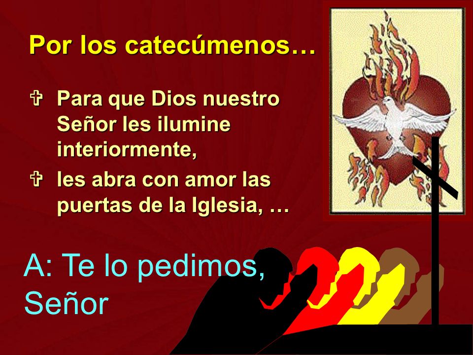 A: Te lo pedimos, Señor Por los catecúmenos…