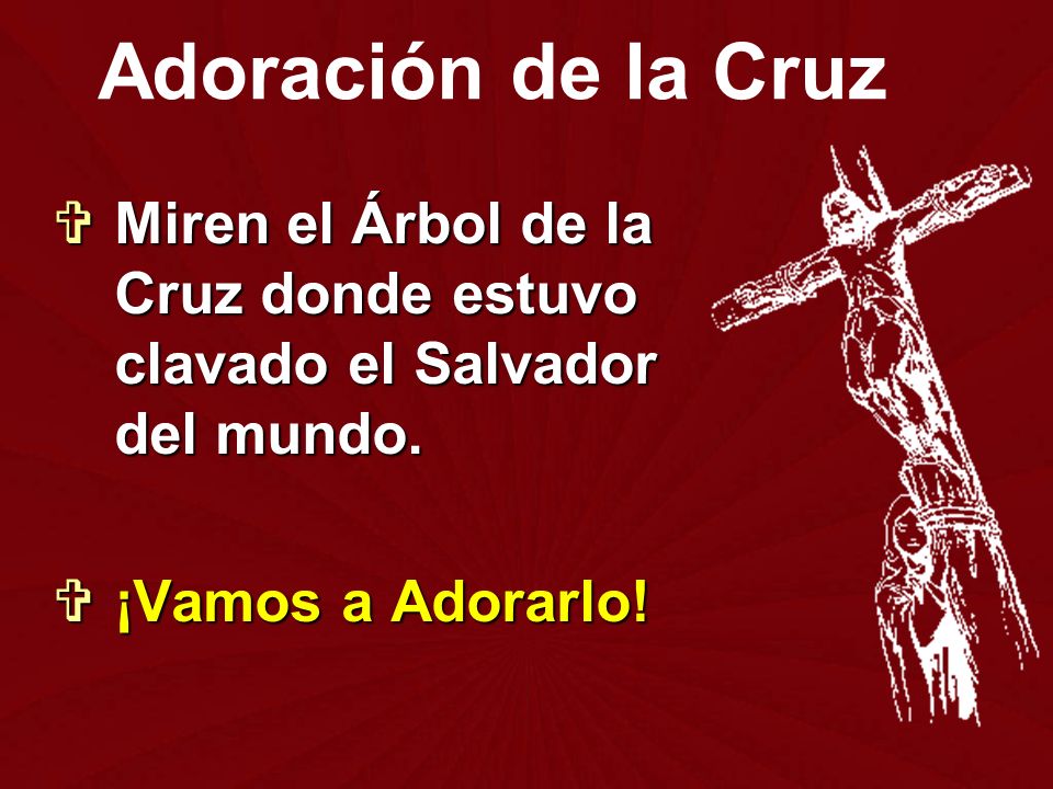 Adoración de la Cruz Miren el Árbol de la Cruz donde estuvo clavado el Salvador del mundo.