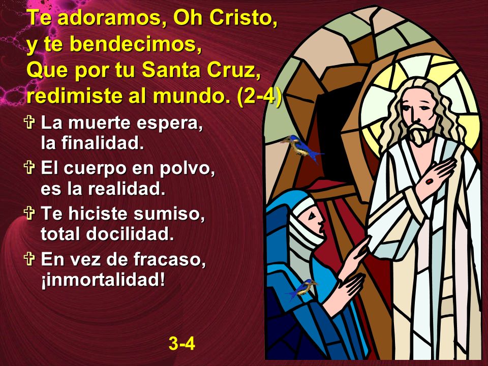 Te adoramos, Oh Cristo, y te bendecimos, Que por tu Santa Cruz, redimiste al mundo. (2-4)