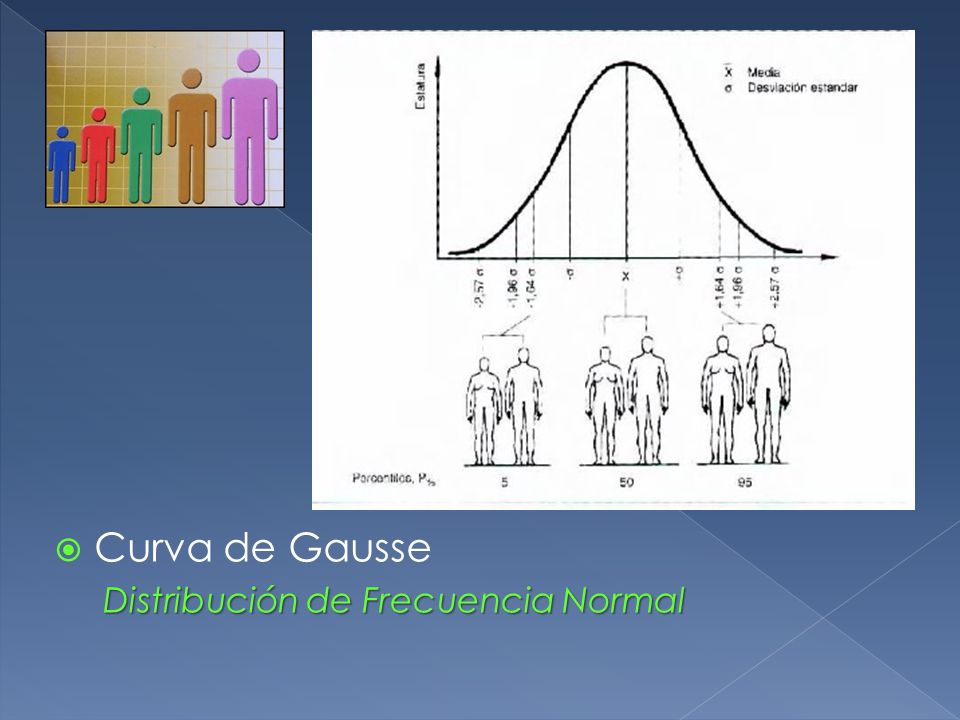 Curva de Gausse Distribución de Frecuencia Normal
