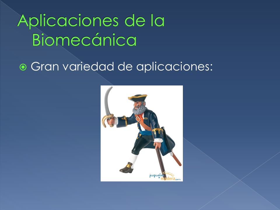 Aplicaciones de la Biomecánica