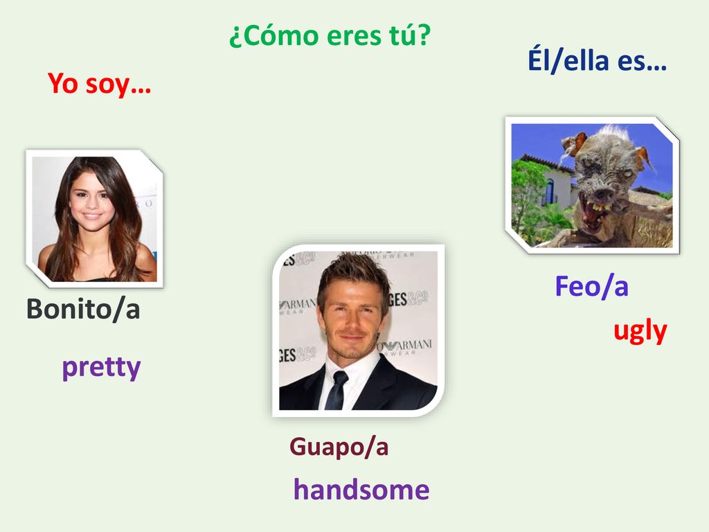 ¿Cómo eres tú Él/ella es… Yo soy… Feo/a Bonito/a ugly pretty handsome