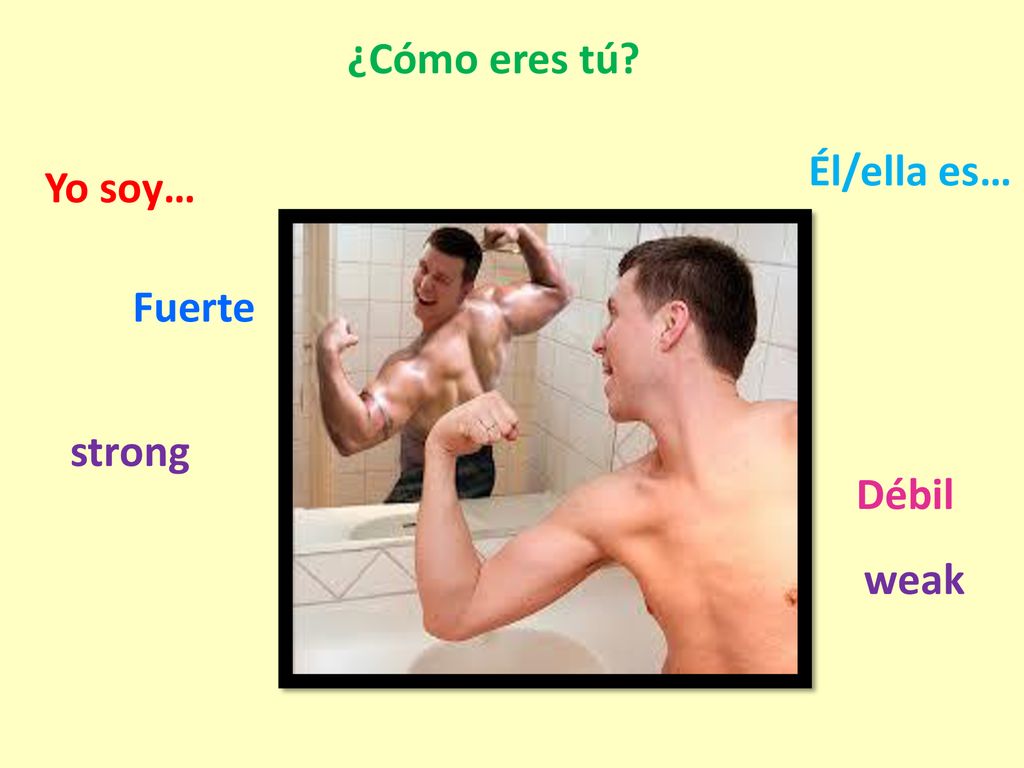 ¿Cómo eres tú Él/ella es… Yo soy… Fuerte strong Débil weak