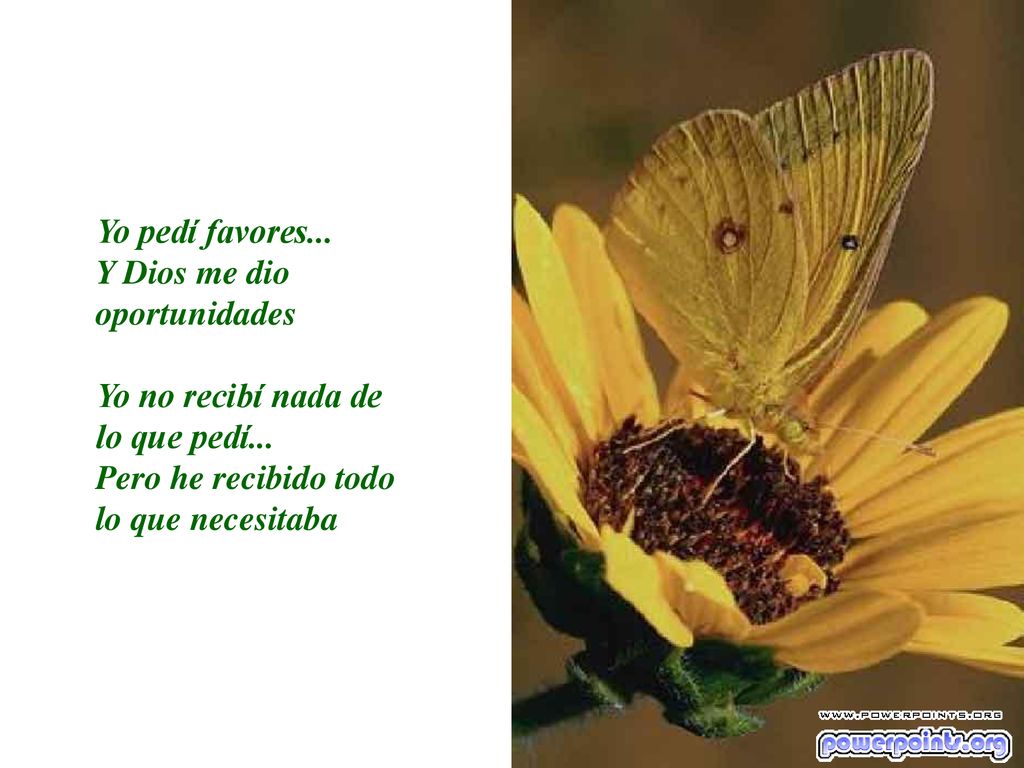 Yo pedí favores... Y Dios me dio oportunidades. Yo no recibí nada de lo que pedí...