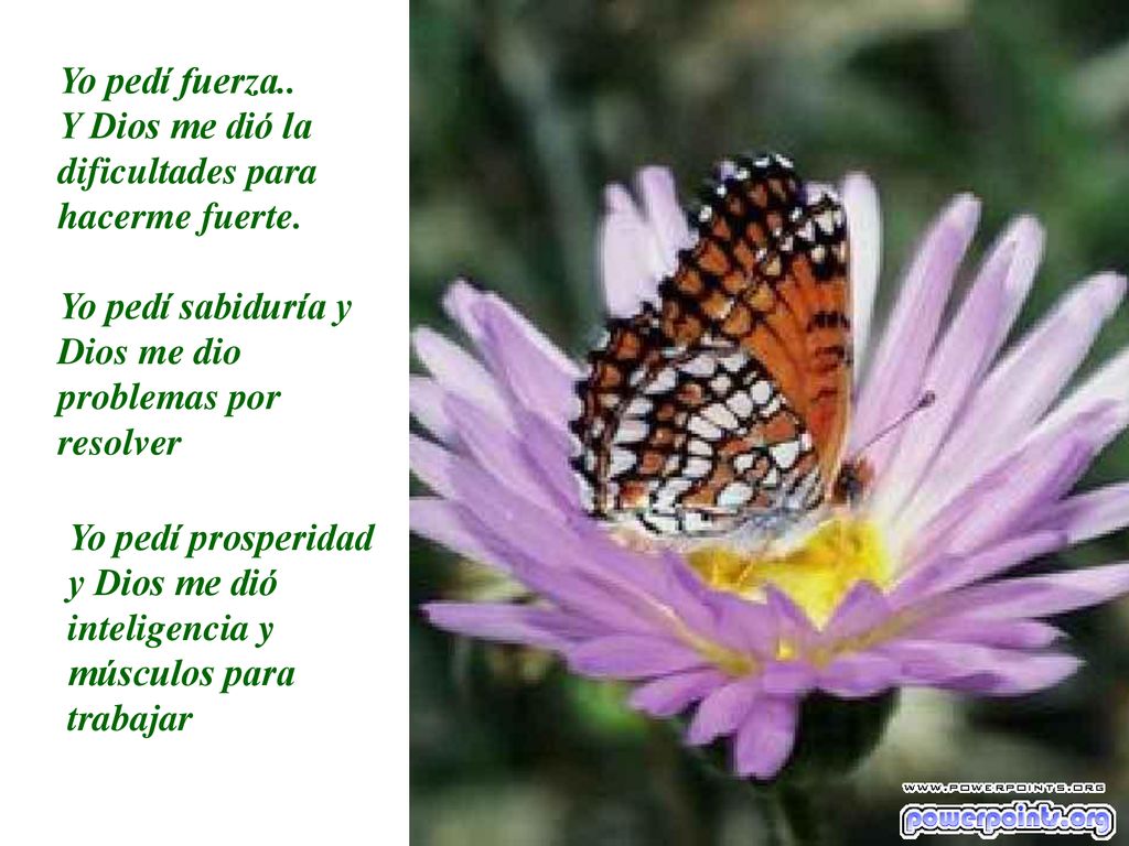 Yo pedí fuerza.. Y Dios me dió la dificultades para hacerme fuerte. Yo pedí sabiduría y Dios me dio problemas por resolver.