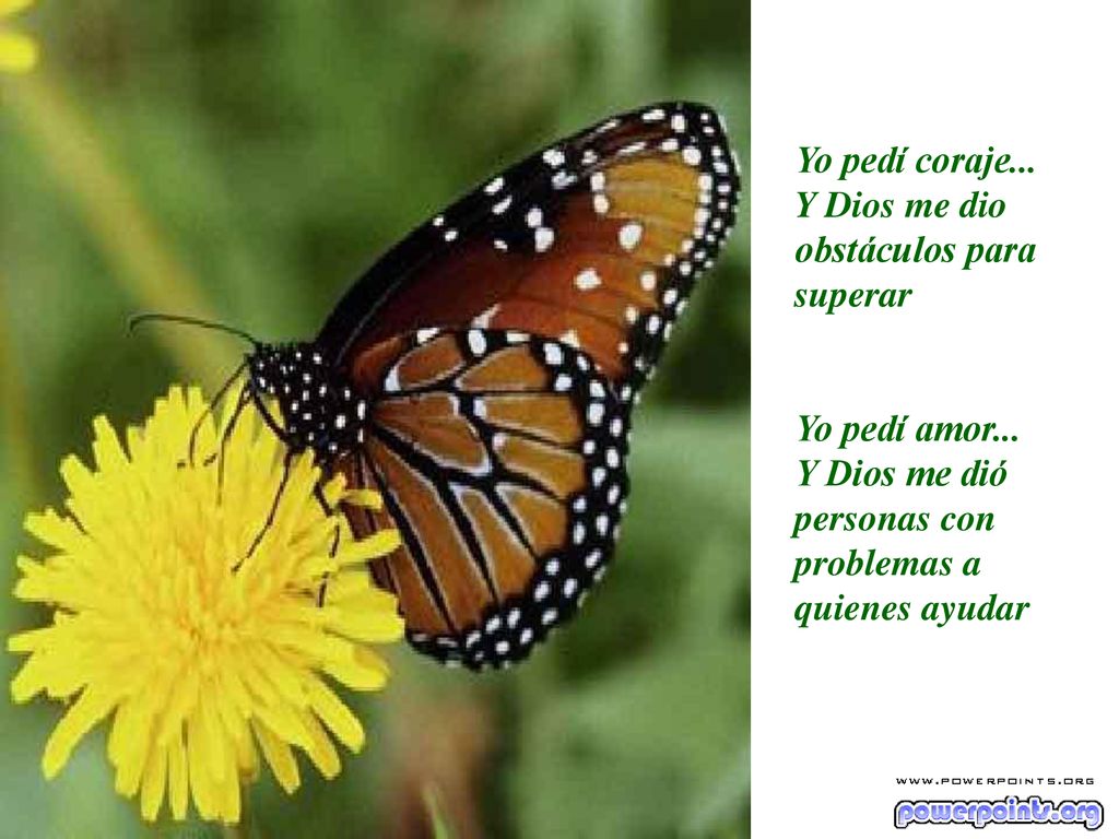 Yo pedí coraje... Y Dios me dio obstáculos para superar.