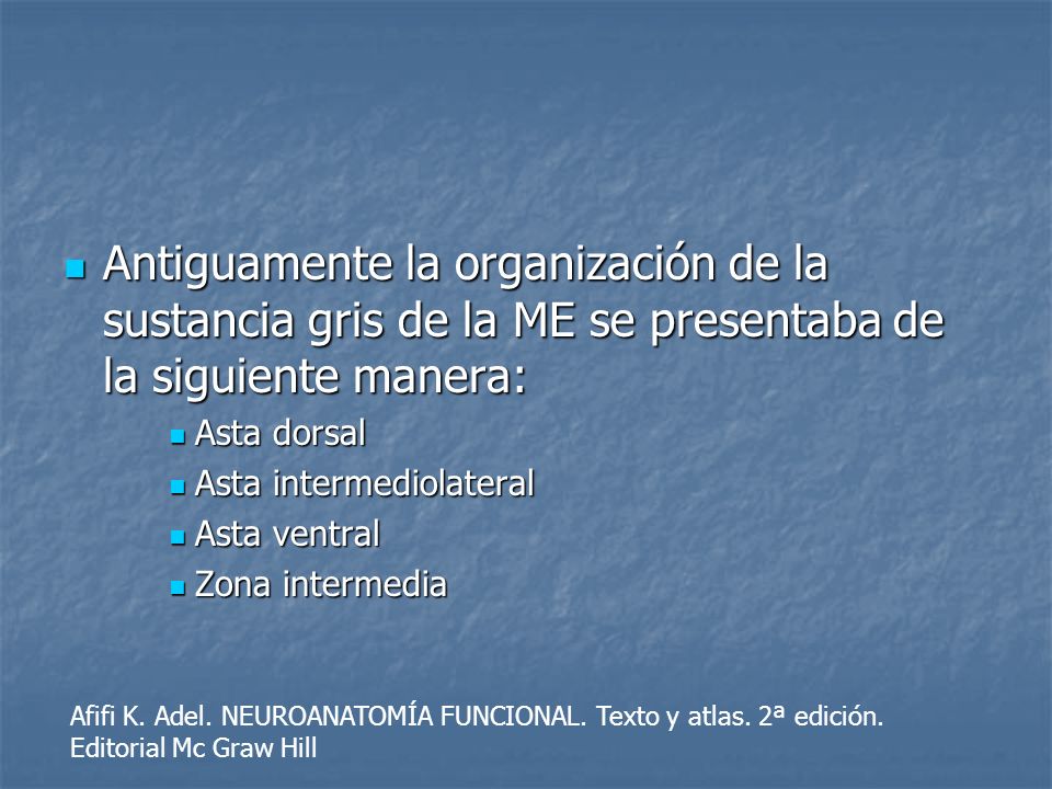 Antiguamente la organización de la sustancia gris de la ME se presentaba de la siguiente manera: