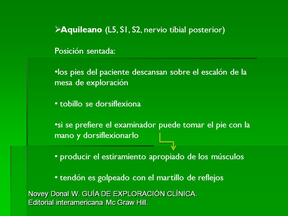 Aquileano (L5, S1, S2, nervio tibial posterior) Posición sentada:
