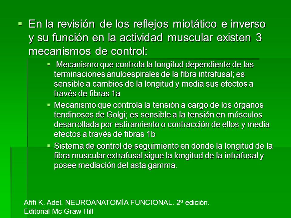 En la revisión de los reflejos miotático e inverso y su función en la actividad muscular existen 3 mecanismos de control: