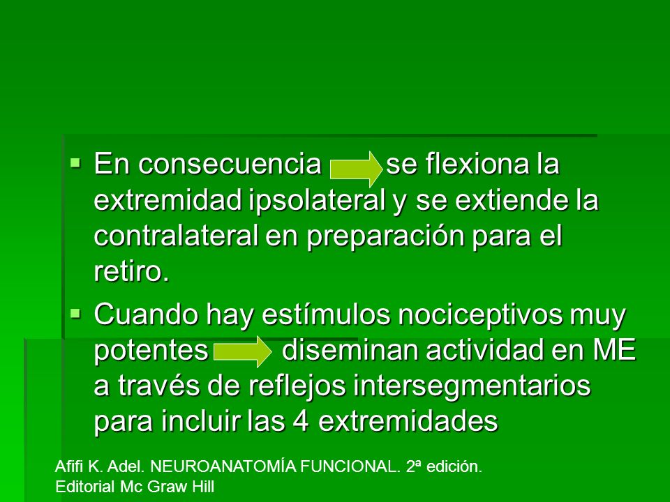 En consecuencia se flexiona la extremidad ipsolateral y se extiende la contralateral en preparación para el retiro.