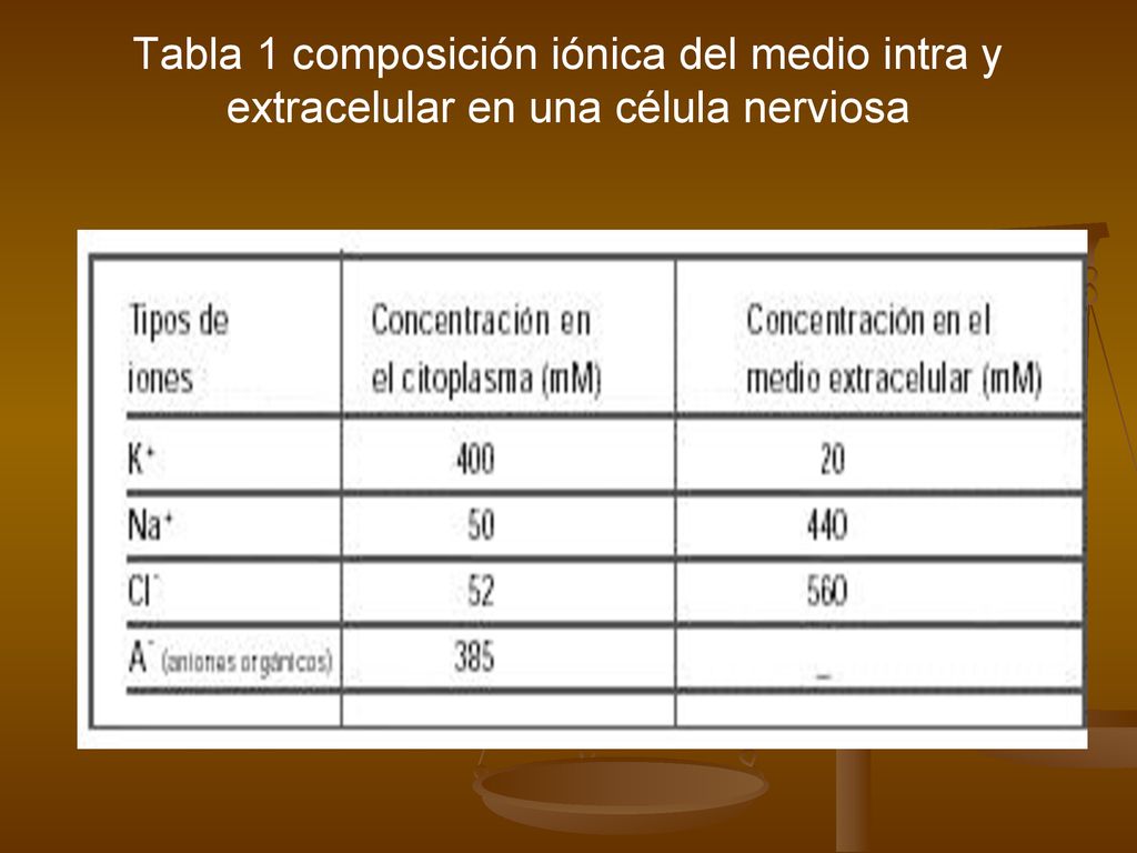 Tabla 1 composición iónica del medio intra y extracelular en una célula nerviosa