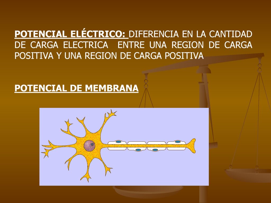 POTENCIAL ELÉCTRICO: DIFERENCIA EN LA CANTIDAD DE CARGA ELECTRICA ENTRE UNA REGION DE CARGA POSITIVA Y UNA REGION DE CARGA POSITIVA