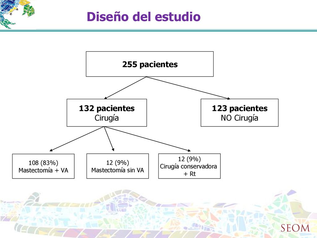 Diseño del estudio 255 pacientes 132 pacientes 123 pacientes Cirugía