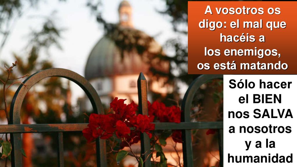 Sólo hacer el BIEN nos SALVA a nosotros y a la humanidad