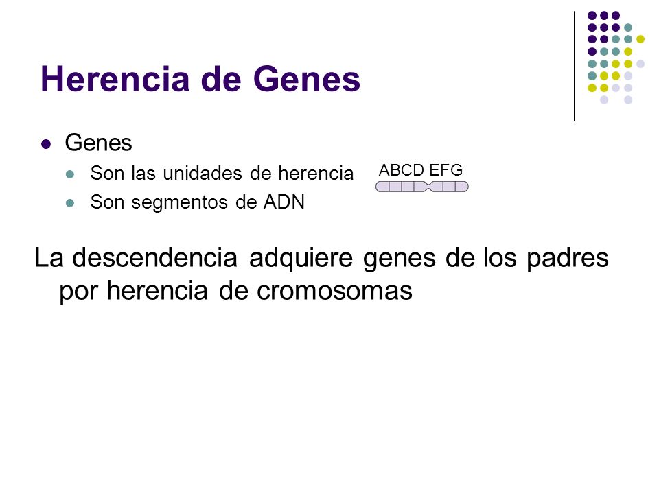Herencia de Genes Genes. Son las unidades de herencia. Son segmentos de ADN. ABCD EFG.