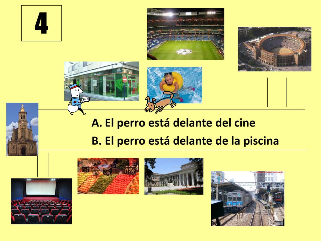 4 El perro está delante del cine El perro está delante de la piscina