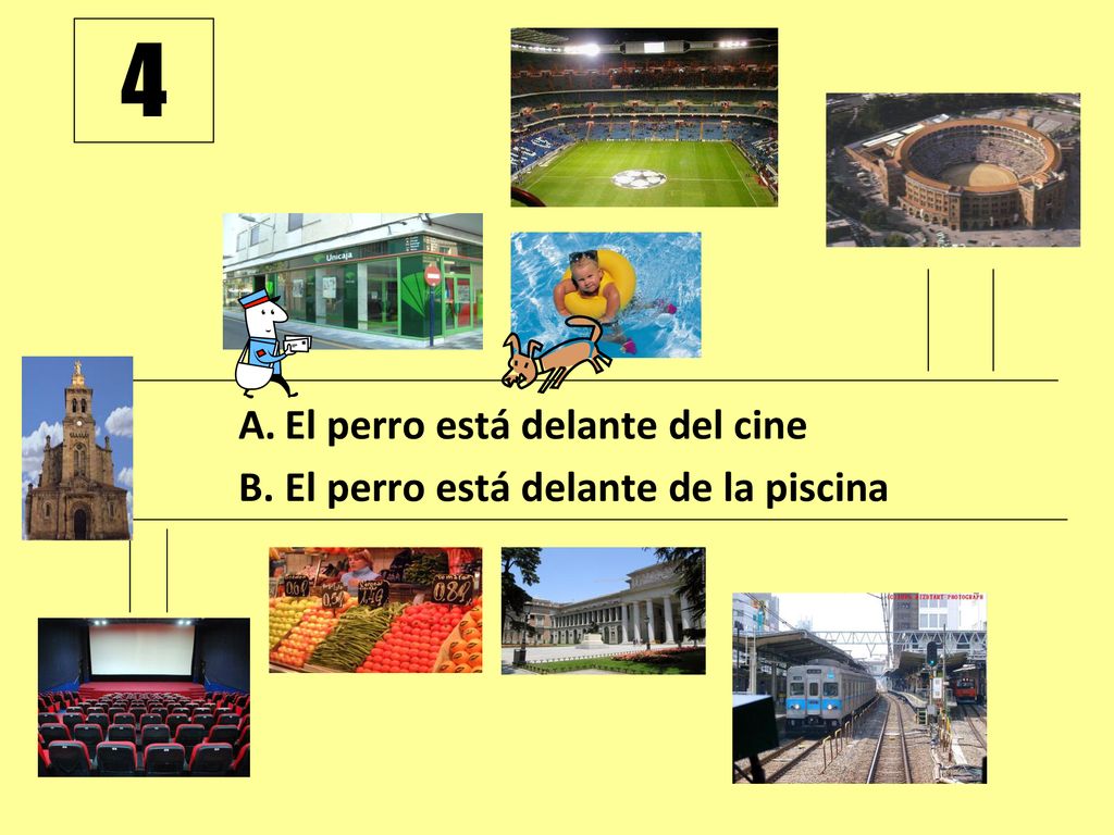 4 El perro está delante del cine El perro está delante de la piscina