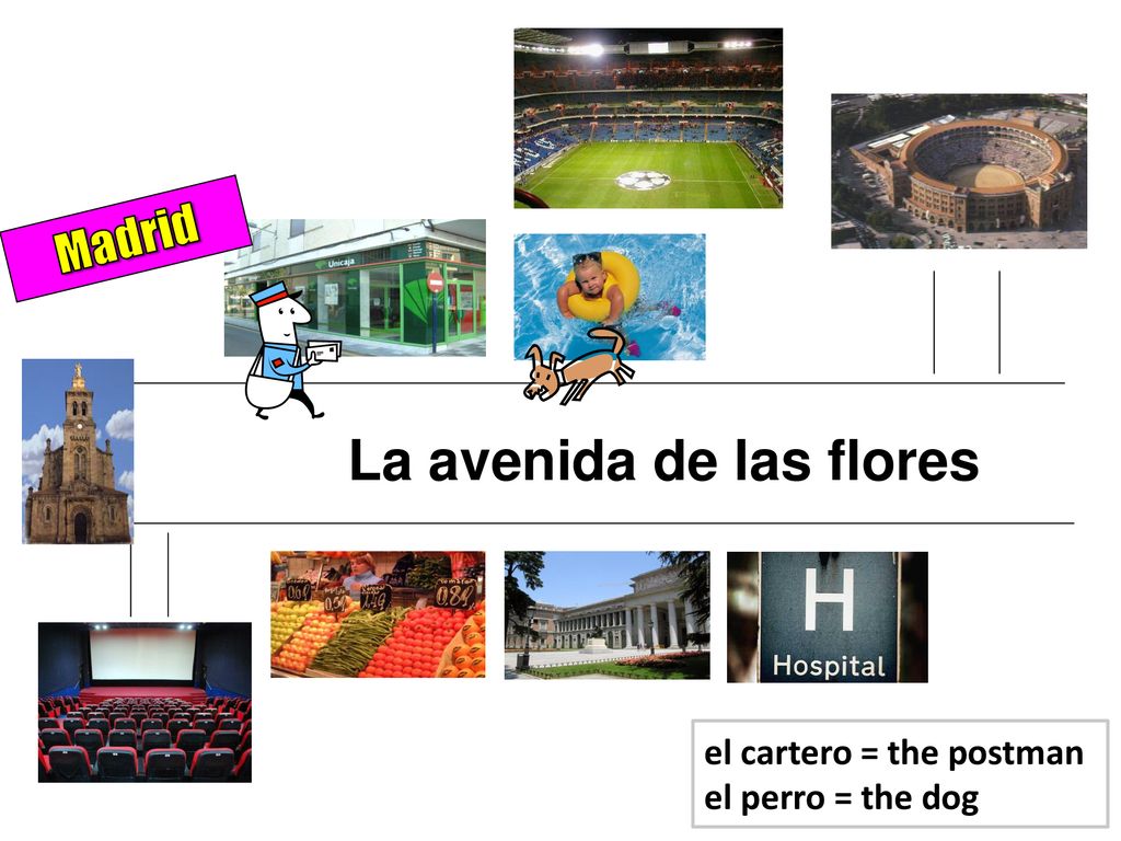 Madrid el cartero = the postman el perro = the dog