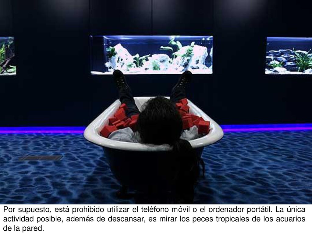 Por supuesto, está prohibido utilizar el teléfono móvil o el ordenador portátil.