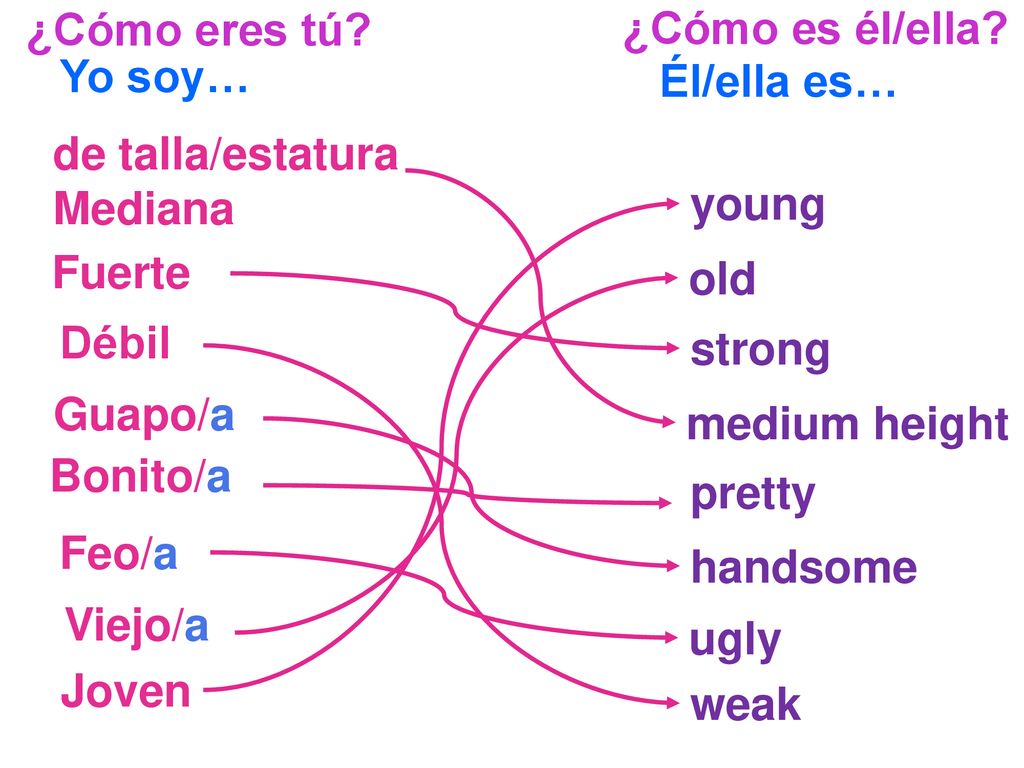 ¿Cómo eres tú ¿Cómo es él/ella Yo soy… Él/ella es… de talla/estatura Mediana. young. Fuerte.