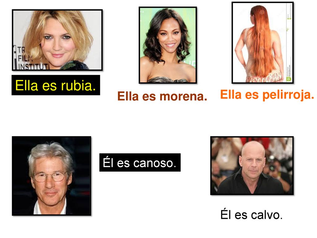 Ella es rubia. Ella es pelirroja. Ella es morena. Él es canoso.