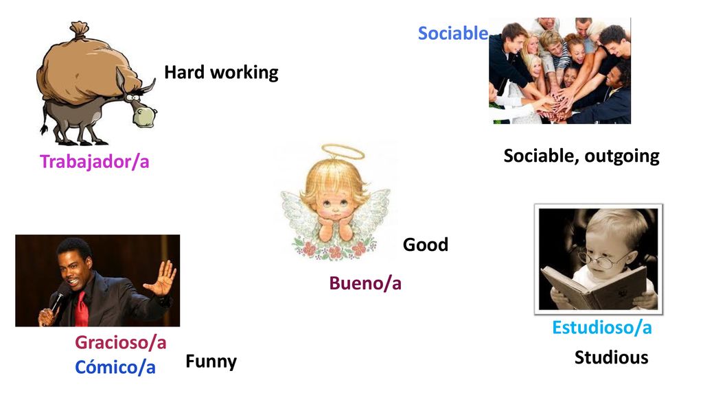 Sociable Hard working. Sociable, outgoing. Trabajador/a. Good. Bueno/a. Estudioso/a. Gracioso/a.