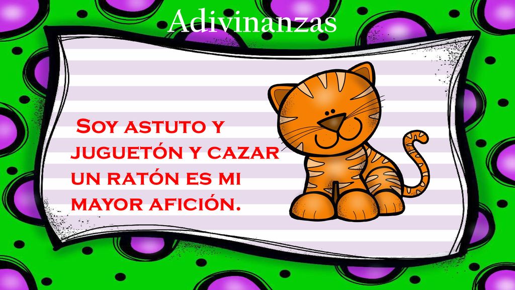 Adivinanzas Soy astuto y juguetón y cazar un ratón es mi mayor afición.