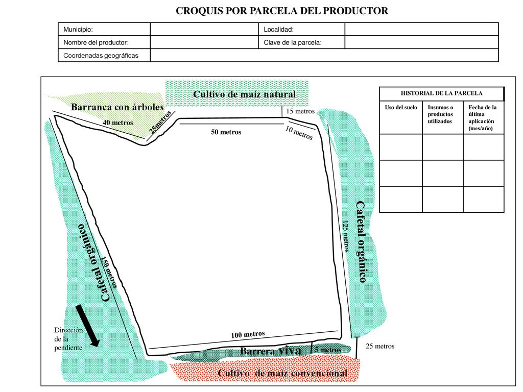 CROQUIS POR PARCELA DEL PRODUCTOR HISTORIAL DE LA PARCELA