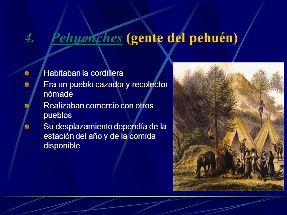 Pehuenches (gente del pehuén)