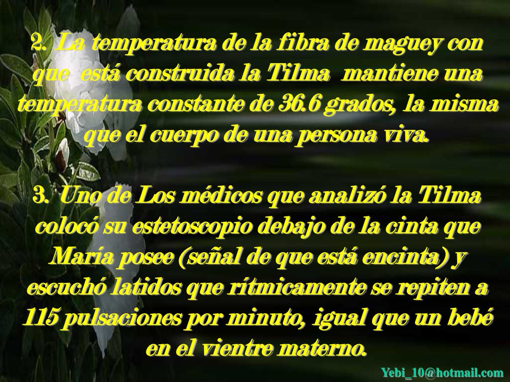 2. La temperatura de la fibra de maguey con que está construida la Tilma mantiene una temperatura constante de 36.6 grados, la misma que el cuerpo de una persona viva.