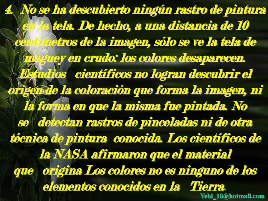 4. No se ha descubierto ningún rastro de pintura en la tela