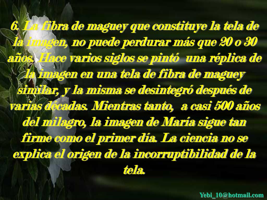 6. La fibra de maguey que constituye la tela de la imagen, no puede perdurar más que 20 o 30 años. Hace varios siglos se pintó una réplica de la imagen en una tela de fibra de maguey similar, y la misma se desintegró después de varias décadas. Mientras tanto, a casi 500 años del milagro, la imagen de María sigue tan firme como el primer día. La ciencia no se explica el origen de la incorruptibilidad de la tela.