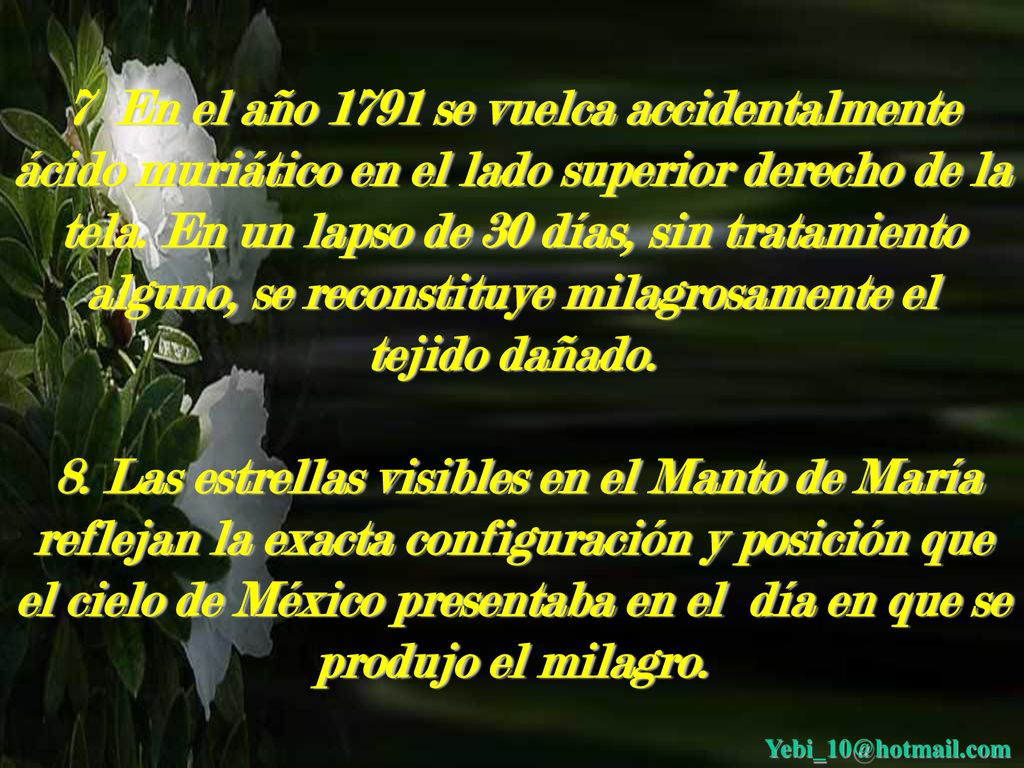 7 En el año 1791 se vuelca accidentalmente ácido muriático en el lado superior derecho de la tela. En un lapso de 30 días, sin tratamiento alguno, se reconstituye milagrosamente el tejido dañado.